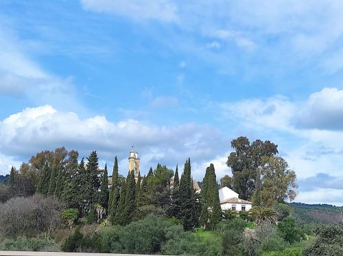 Silvana campo y ciudad, Córdoba (foto 5)
