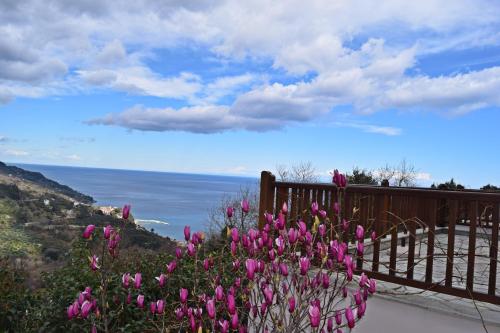 Executive Apartment with Panoramic View