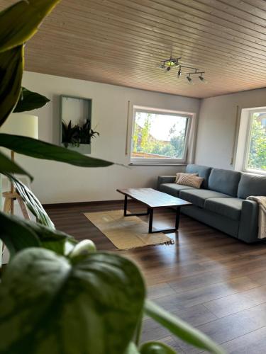 Ferienwohnung Wiesental in 恩斯廷根