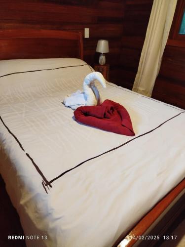 Yoly cabaña (Yoly cabana) in Oxapampa