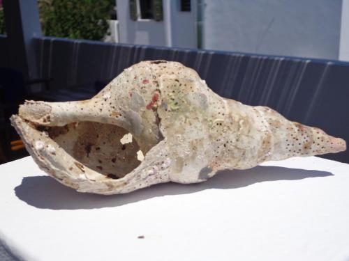 Eleana Studios - image 10