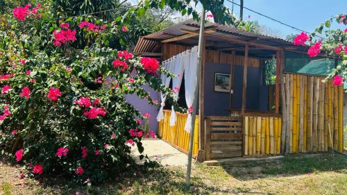 Anez Cabin'S