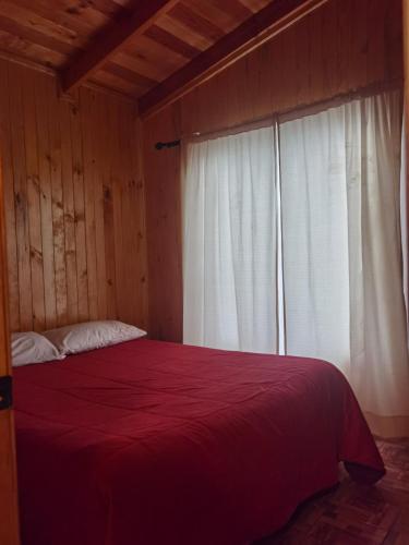 Cabaña nueva con tinaja grande (Cabana nueva con tinaja grande) in Saavedra