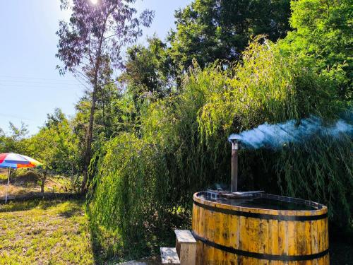 Cabaña nueva con tinaja grande (Cabana nueva con tinaja grande) in Saavedra