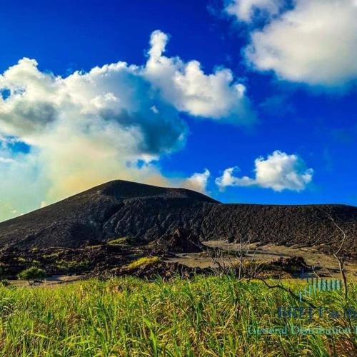 Tannawildpig in Isaka