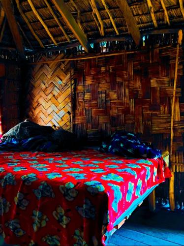 Tannawildpig in Isaka