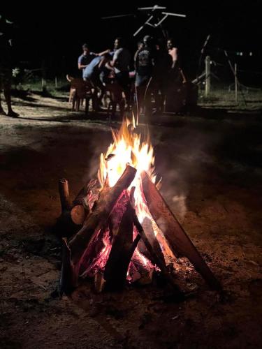 Peacock village and family resort