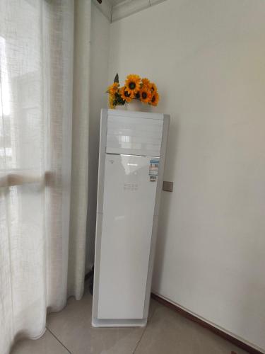 Alice Luxury Apartments near Nadi McDonald's, Nadi (foto 5)