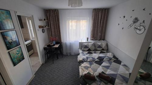 Studio A&N, Ploieşti (Foto 6)