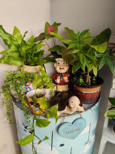 阳台民宿 16 Terrace 阳台民宿 16 Terrace