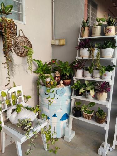 阳台民宿 16 Terrace 阳台民宿 16 Terrace