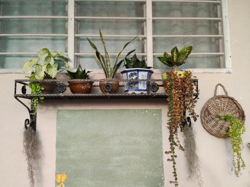 阳台民宿 16 Terrace 阳台民宿 16 Terrace