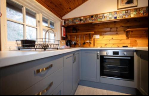 virtuve, 345 Ida's Cabin in Trawsfynydd