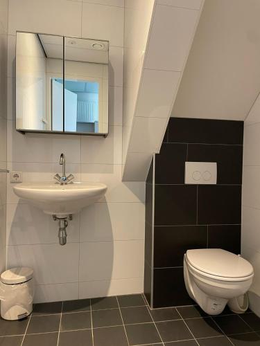 Vakantiepark de Oude Molen - image 5