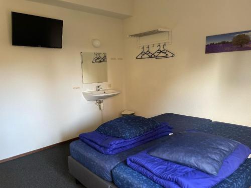 Vakantiepark de Oude Molen - image 11