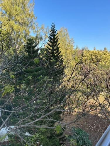 카오야이 Nature retreat courtyard khaoyai เนเจอร์รีทรีท คอร์ดยาร์ดเขาใหญ่ 4성급 호텔 부대시설