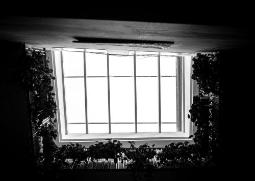Hotel Palacio Alcázar - image 11