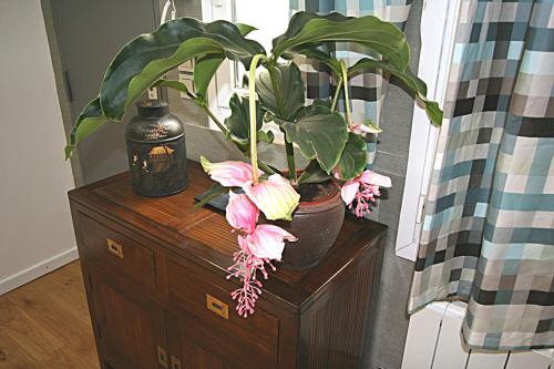 Paris Interiors Rentals - Le Marais Pompidou Center - image 11