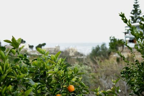 Apartment with Sea View image 2