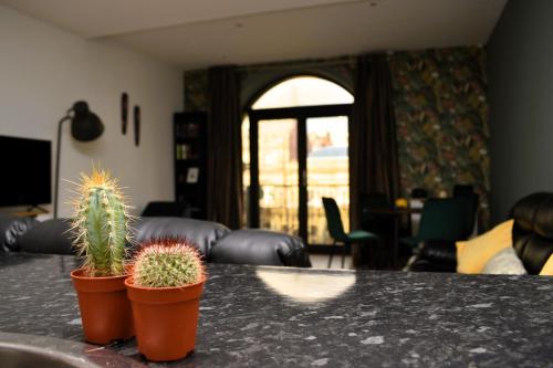Heart of Leeds - 2 Bedroom Flat, Leeds (fotografie 8)