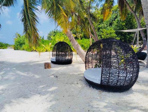Rattehi Inn at Rakeedhoo in Vaavu korallzátony