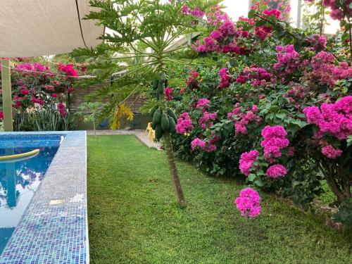 hotel las olas zicatela – Puerto Escondido, LA
