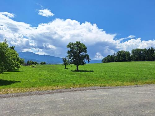 Campingplatz Orange Schindelbacherhof in Spielberg