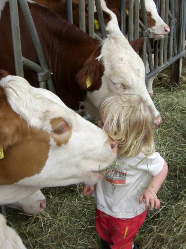 Enkenshof in Nettetal