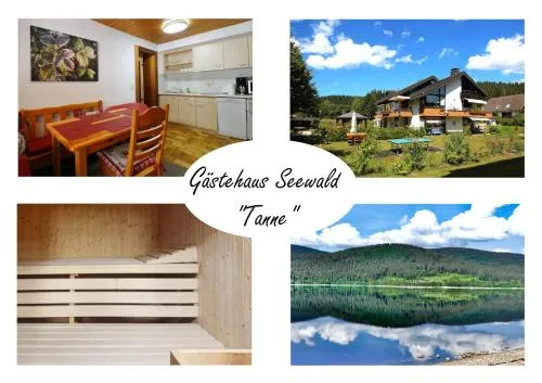 Gästehaus Seewald- Ferienwohnung 3 "Tanne", Schluchsee, Blasiwald in Schluchsee, Deutschland