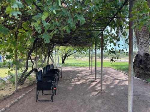 Garden, Ghanzi Farmhouse in Ghanzi