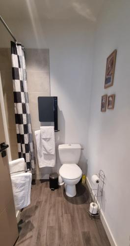Bel appartement sous les toits de Toulouse-Central-Climatisé-, Toulouse (fotografie 8)