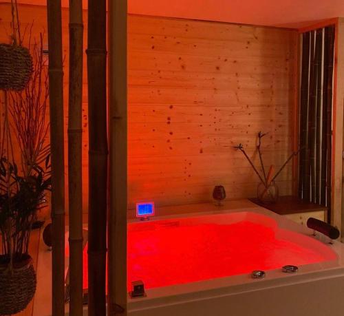 Gîte bien-être Balnéo Sauna à usage privatif gîte à louer Le Bessat