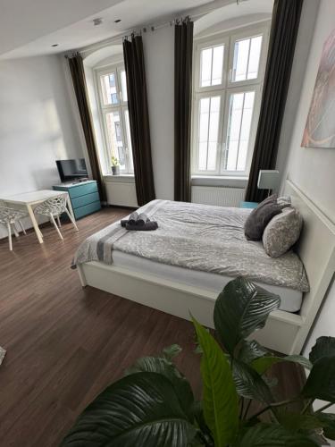 Apartamenty Młyńska15 self check-in 24h