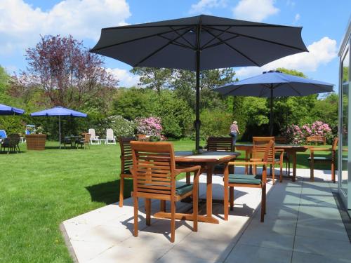 Terraza/balcón, Hotel zum Rosenteich in Bad Zwischenahn