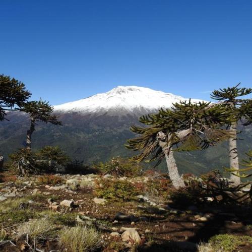 Cabaña alto bio bio