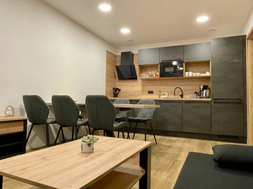廚房, Apartmány nora - Příchovice (Apartmany nora - Prichovice) in 哥雷諾夫