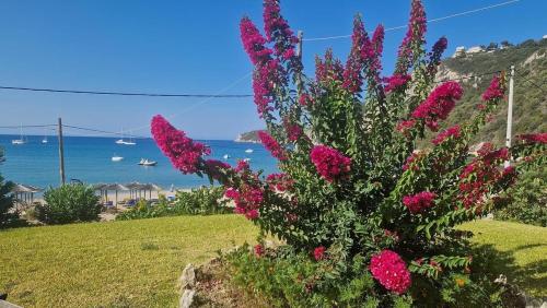 SAN GEORGE COVE 4