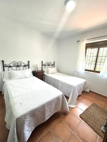 Standard Twin Room with Mountain View