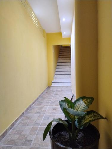 House in Camocim, Camocim (foto 4)
