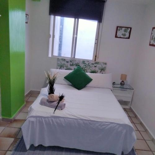 Habitacion muy céntrica., Granada (fotografie 8)