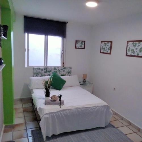 Habitacion muy céntrica., Granada (fotografie 7)