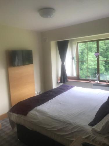 Lodge on Grounds of Ballykisteen Golf Resort, Tipperary (zdjęcie 10)