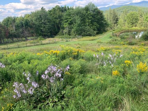 Charming barn loft - all amenities on 60 acre farm in the White Mountains of NH in Lancaster (NH)