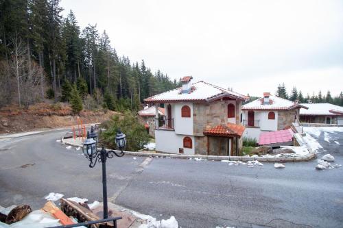 Ski Villa in Pamporovo Forest - image 8