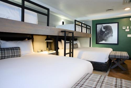 2 king beds, 2 twin beds