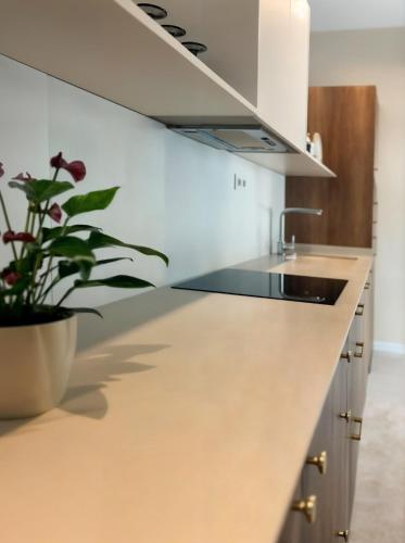 Pivote Flats-Playa A, Валенсия (фото 7)