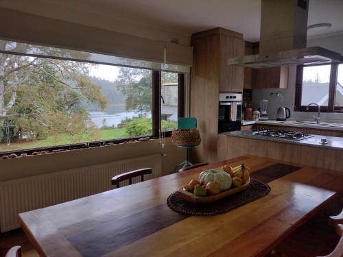 Casa Rio Vivo in Valdivia