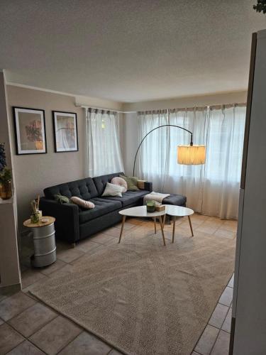 Tegerfelden Weinregion in Bad Zurzach