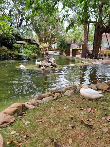Loom Cafe Banrai ลูมคาเฟ่บ้านไร่ - 정원
