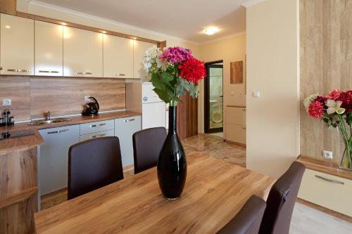 One-Bedroom Apartment image 6